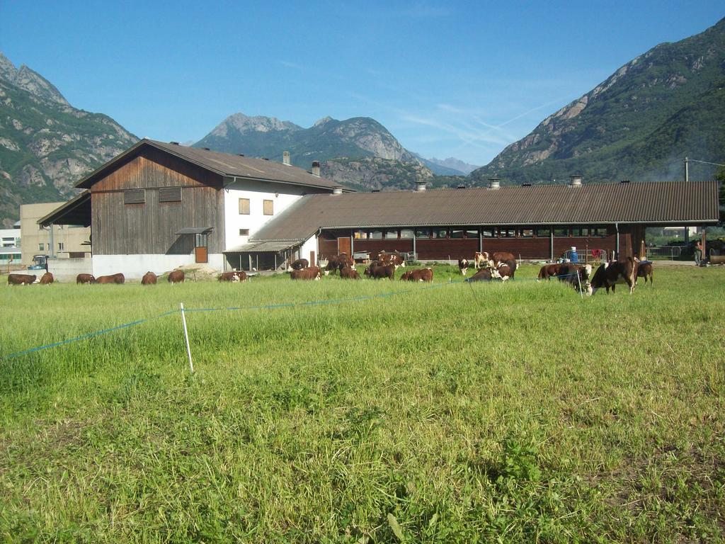 Agriturismo La Grange Pont-Saint-Martin Extérieur photo