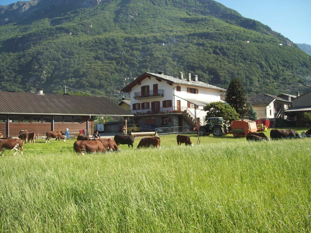 Agriturismo La Grange Pont-Saint-Martin Extérieur photo